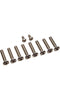 Pentair niche screw kit american 8 hole extra long 79205200 at www.poolproductscanada.ca