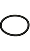 Pentair O-Ring, 2" Bulkhead (2 Required) - 154492