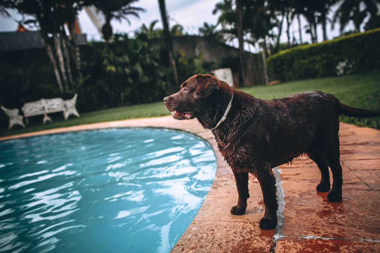 Making the Switch: Transitioning to a Sand Pool Filter System