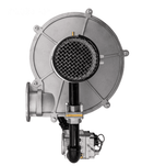 Raypak - 018861F Air Blower Kit with Gas Train - Natural Gas - Avia 264A