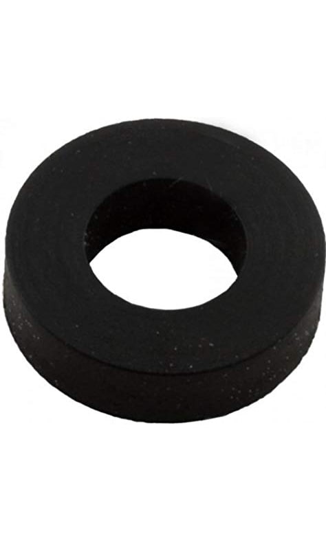 Pentair rubber washer 075713 at www.poolproductscanada.ca