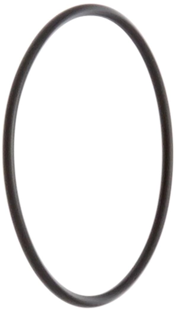 Pentair bermuda skimmer 2" o-ring for 195829 plug 192323 at www.poolproductscanada.ca