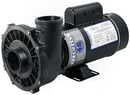 Waterway 1.5 HP Executive 48 Pump, 2 Speed, 2" Intake & Discharge (115V)