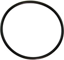 Pentair lid o-ring 350013Z at www.poolproductscanada.ca