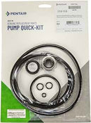 Sta-Rite max-e-pro quick repair kit 356196 at www.poolproductscanada.ca