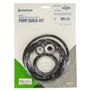 Pentair challenger pump seal quick repair kit 356199 at www.poolproductscanada.ca