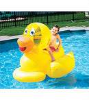 Flotteur de piscine canard géant de 60 po 