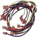 Pentair ultra temp main wire harness 475112 at www.poolproductscanada.ca