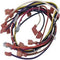 Pentair ultra temp main wire harness 475112 at www.poolproductscanada.ca