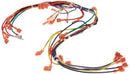 Pentair ultra temp main wire harness 3-phase 474031 at www.poolproductscanada.ca