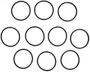 Pentair Intellichlor o-ring pack of 10 521147 at www.poolproductscanada.ca