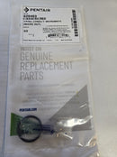Pentair GloBrite - Kit de Remplacement de Joint Torique - 620057 