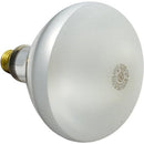 Pentair aderliet loodlamp 300W 12V 79101900 at www.poolproductscanada.ca