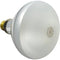 Pentair aderliet loodlamp 400W 120V 79102200 at www.poolproductscanada.ca