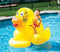 Flotteur de piscine canard géant de 60 po 