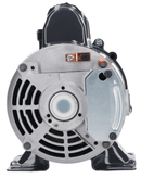 Balboa 115V Circulation Pump