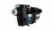 Sta-Rite Pentair IntelliPro3 VSF 013077 3 hp horsepower variable speed flow pump best price Canada free shipping at www.poolproductscanada.ca