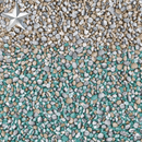 Island Wall Turquoise Floor | 30mil | Made in Canada | Platinum Series