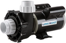 LX 1 HP 48 Spa Pump, 2 Speed, 2" Suction & Discharge (115V)