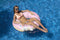 Rose | Flotteur de piscine gonflable Blue Donut 