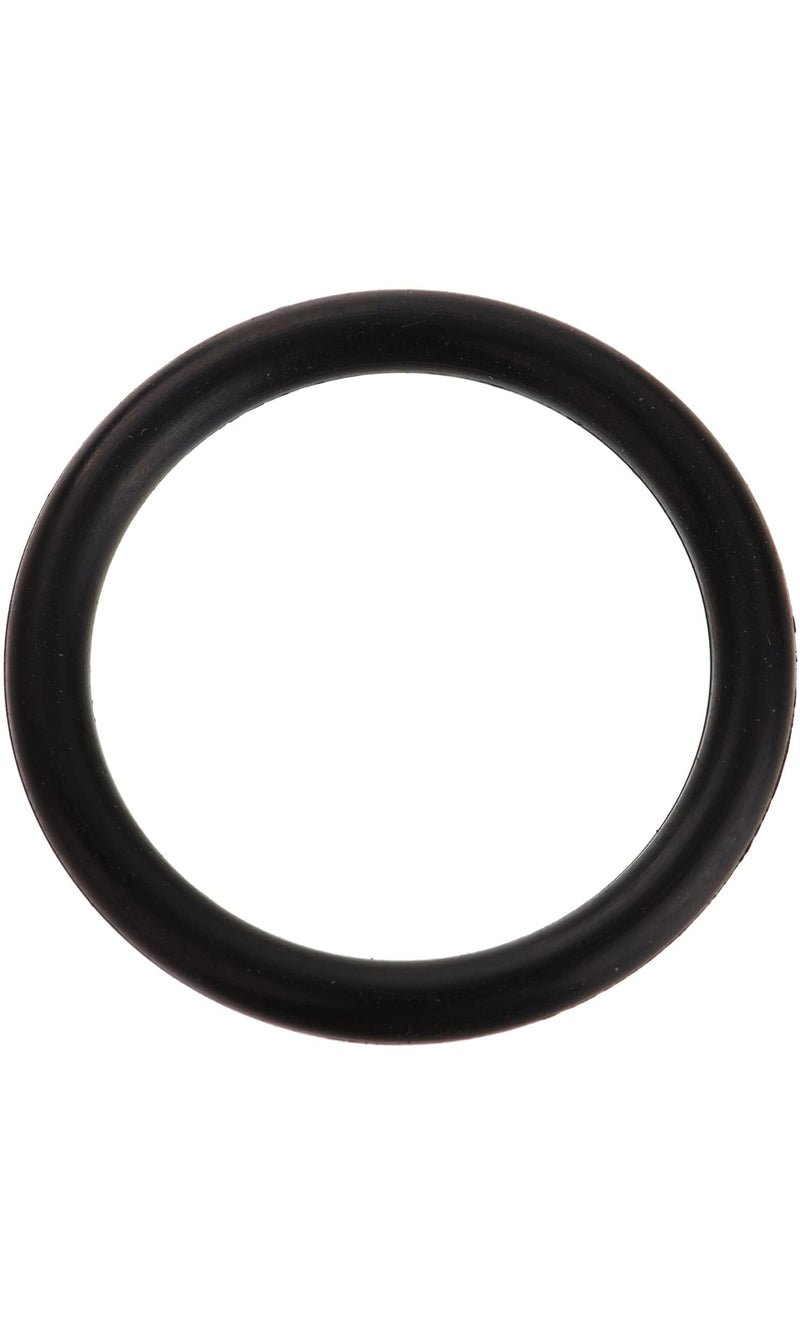 Jandy never lube shaft o-ring R0487100 at www.poolproductscanada.ca
