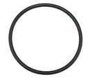 Jandy TruClear cap o-ring R0694100 at www.poolproductscanada.ca