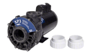 Aqua-Flo XP3 4 HP 56 Frame, 2 Speed, 2.5" Intake & Discharge (230V)