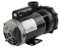 Waterway 5 HP Executive 56 Pump, 2 Speed, 2.5" Suction