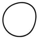 Pentair EQ Series Seal Plate O-Ring - 356780Z