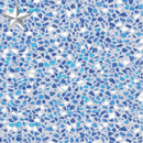 Sparking Seas | 30mil | Made in Canada | Platinum Series