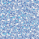 Sparking Seas | 30mil | Made in Canada | Platinum Series