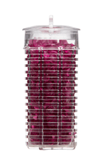 Spazazz - 0.5oz Instant Aromatic Escape Beads - Sangria | Wild Fiesta