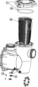 Pentair IntelliFlo3 3.0 VSF Strainer Pot Kit (Black) - 356347Z