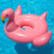 Flamingo Baby Seat by Swimline