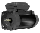 Sta-Rite 3 HP single speed replacement motor 354818S at www.poolproductscanada.ca