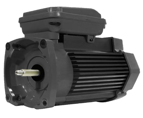 Sta-rite 2 hp single speed replacement TEFC motor 354816S at www.poolproductscanada.ca