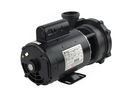 Waterway 3 HP Executive 56 Pump, 1 Speed, 2" Suction