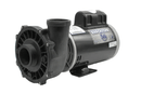 Waterway 2 HP Executive 56 Pump, 2 Speed, 2.5" Suction
