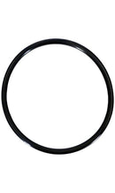 Pentair O-Ring Parker (2 Required) - 154005