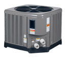 Raypak 50,000 BTU Titanium Heat Pump
