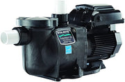 SUPERMAX® VS VARIABLE SPEED PUMP 343001 CANADA POOL PRODUCTS CANADA 